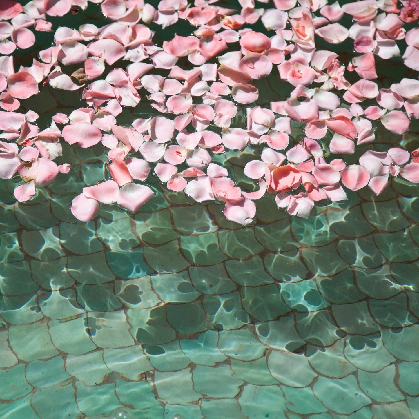 Lalla La Rose Fragrance