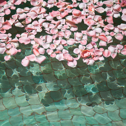 Lalla La Rose Fragrance