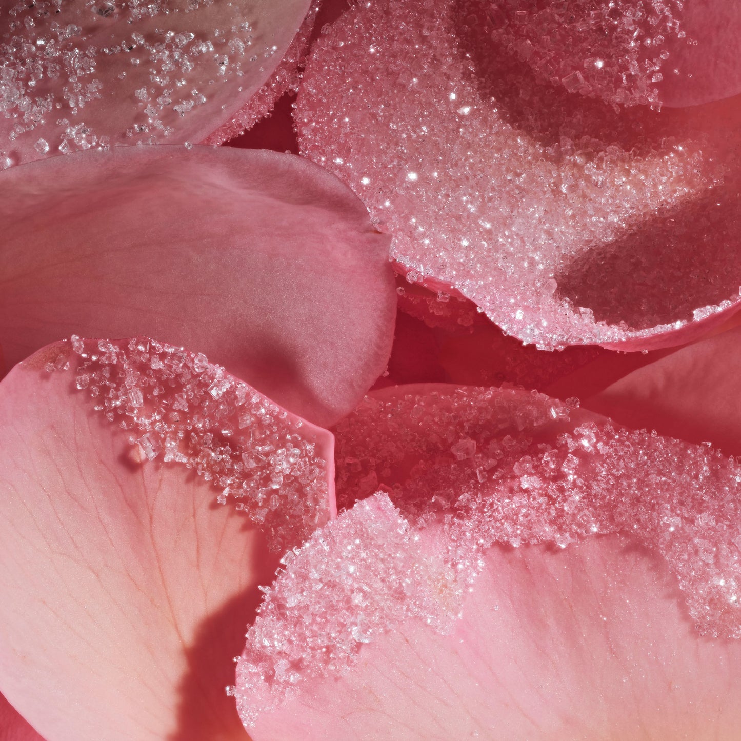 Lalla La Rose Fragrance