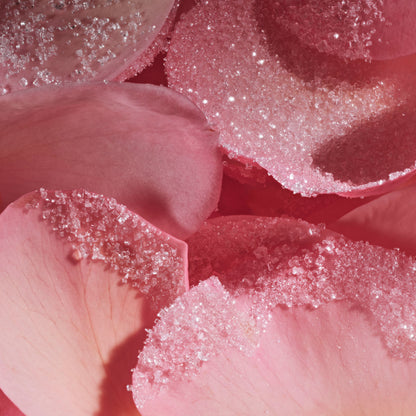 Lalla La Rose Fragrance