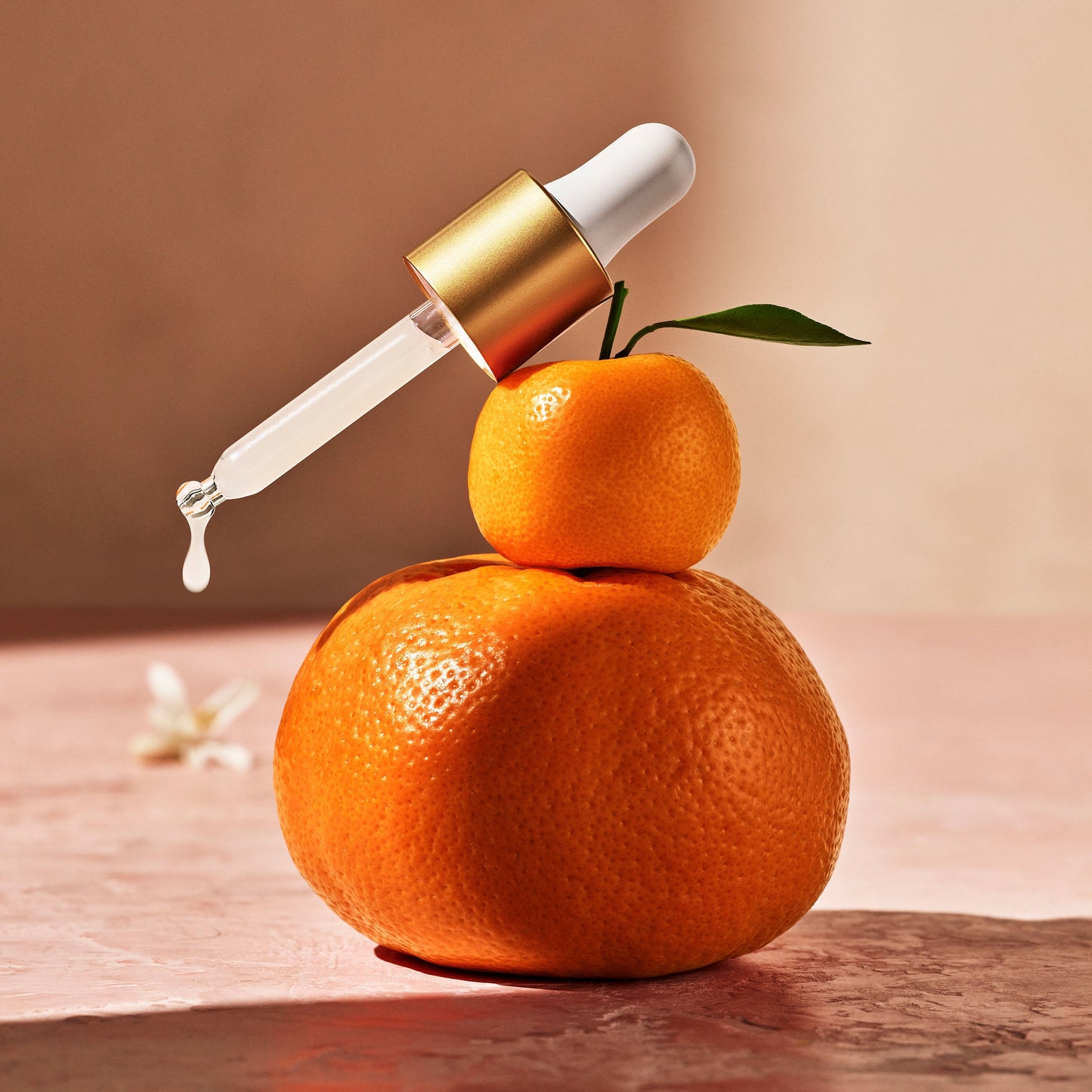 Radiance Refresh Kit