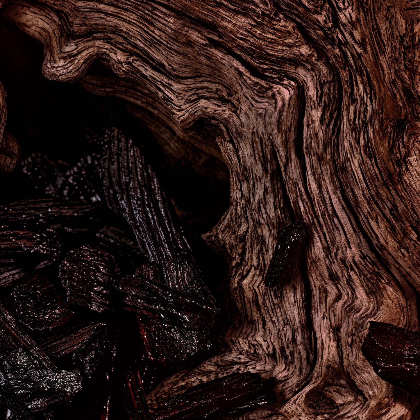 Oud Davana Fragrance